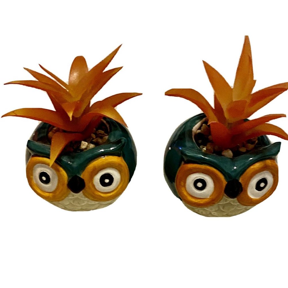 2 Owl Mini Faux Succulent Plants 3.5 in. Tall